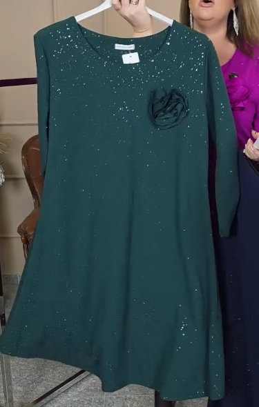 Vestido elegante com gola redonda