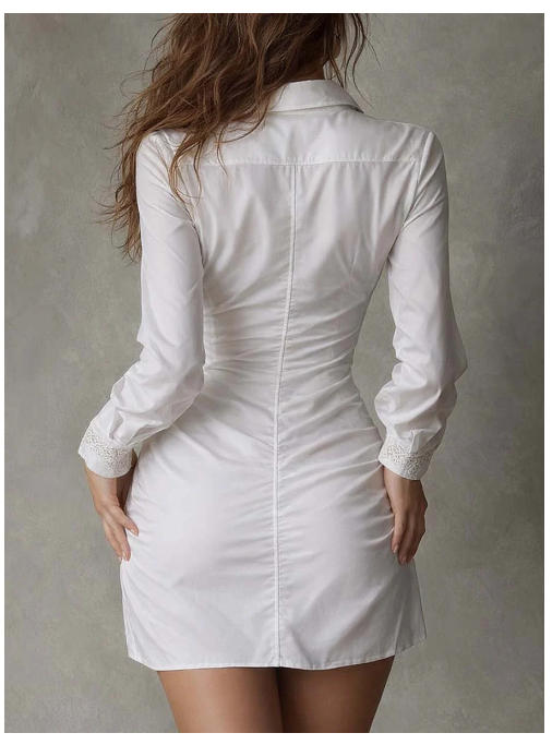 Vestido retro de renda com mangas compridas